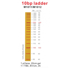 10 Bp DNA Ladder