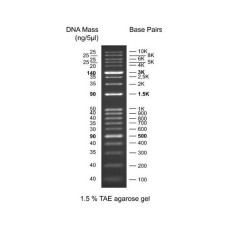 BM011-R500 KPlus DNA Ladder 500ul