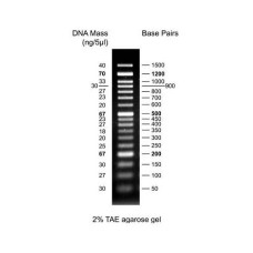 BM012-R500 50 bp DNA Ladder 500ul