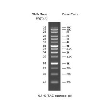 BM013-R500 XLarge DNA Ladder 500ul