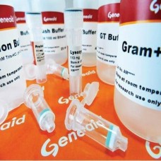 Presto Mini DNA Bacteria Kit