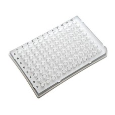 Real Time PCR Plate