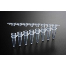 Real Time PCR Tube 8- Strip