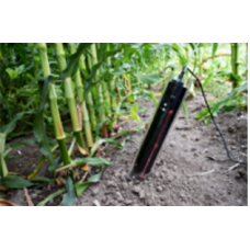In-Situ Root Growth Monitoring System Model CI-600