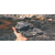 Coal Testing