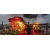 Fire Safety Testing