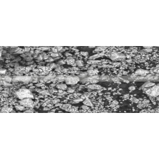 Scanning Electron Microscopy Analysis
