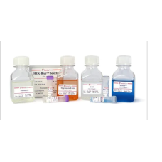G418 (Geneticin)