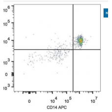 cd303 antibody