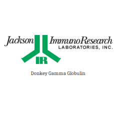 Donkey Gamma Globulin
