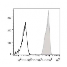 cd47 antibody