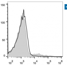 igm antibody