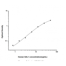 Human Galectin 1 ELISA Kit