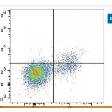 cd 122 antibody