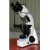 Coaxial Microscope