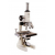 Compound Microscope