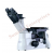 Trinocular Metallurgical Microscope
