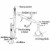Fractional Vacuum Distillation Assembly