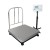 Platform Scale SS