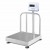 Platform Scales