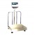 Food Grade Stainless Steel Platform Scale