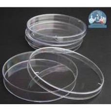Glass Petri Dish