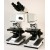 Binocular Research Microscope
