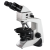 Labomed Microscope