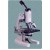 Laboratory And Medical Microscope (Incline Head)