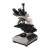 Micron Trinocular Microscope