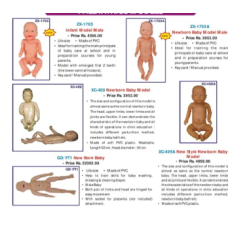 Paediatric Models