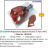 Respiratory System Model, 7 parts, PVC