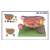 Ovary Model