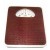 Manual Weight Scale