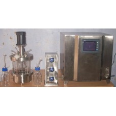 Glass Bioreactor