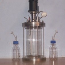 Glass Fermenter