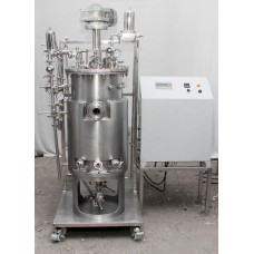 Primary Metabolism Production Plant