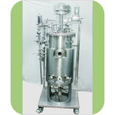 Secondary Metabolism Production Plant