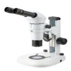 Zoom Stereo Microscope