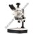 Zoom Stereo Microscope