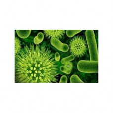 Cooling Tower Biocide Chemical