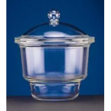 Desiccators , Plain With Knobbed Cover & Procelain Plate