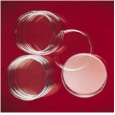 Petri Dishes