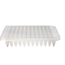 Rapid Tube Plate 600