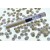 Ampicillin AMP 10 mcg