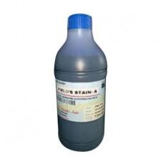 H & E Stain