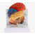 Human Body Parts Model