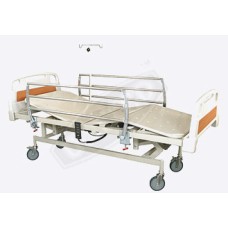 ICU Bed Electric (ABS Panels)