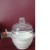 Vacuum Desiccator