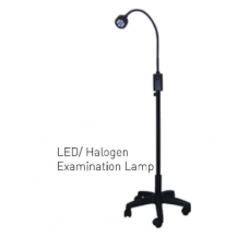 LED And Halogen Examination Lamp